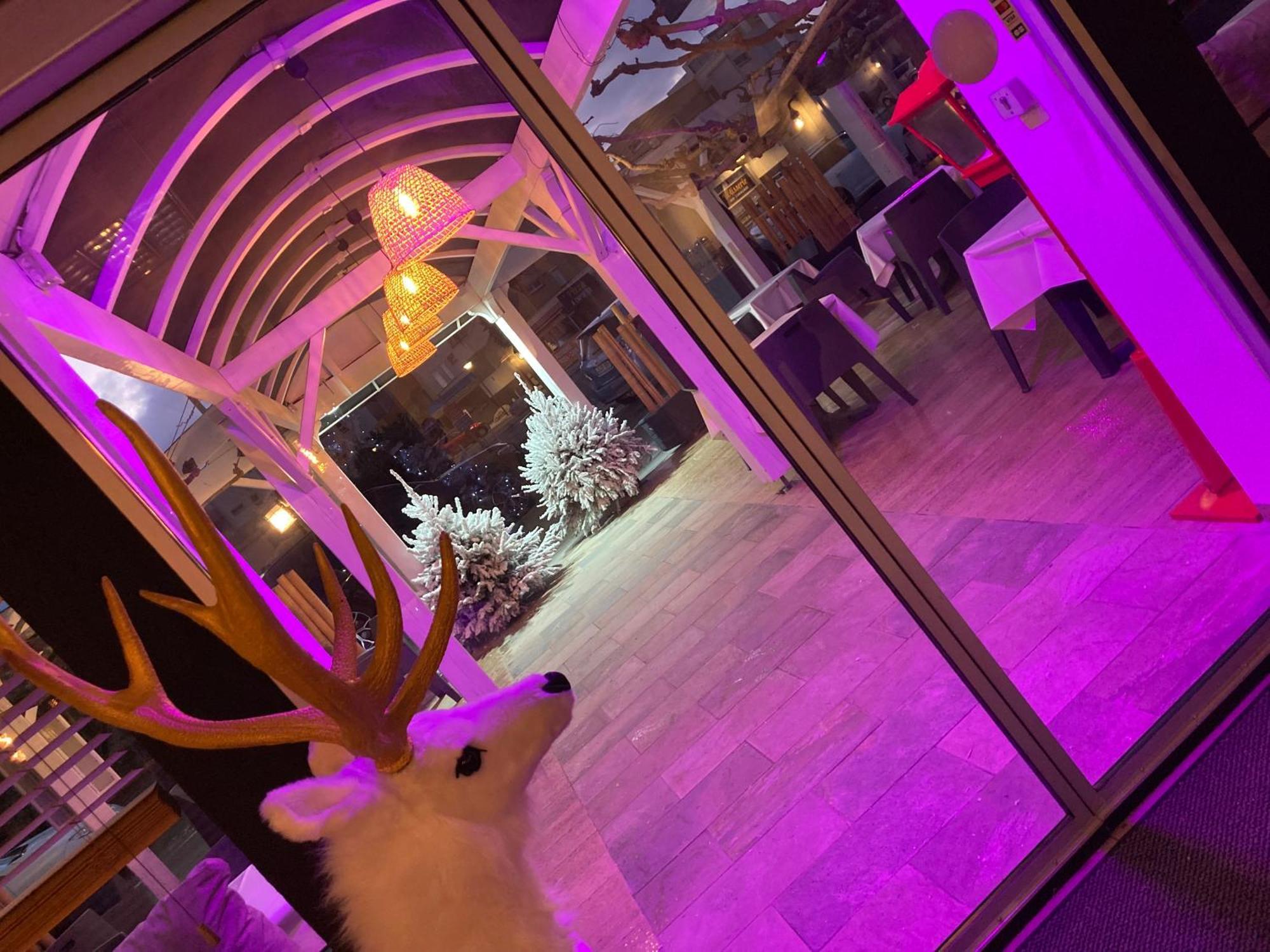 De La Hotel 2*